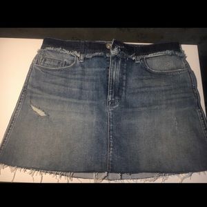 Hudson Custom Vivid Skirt